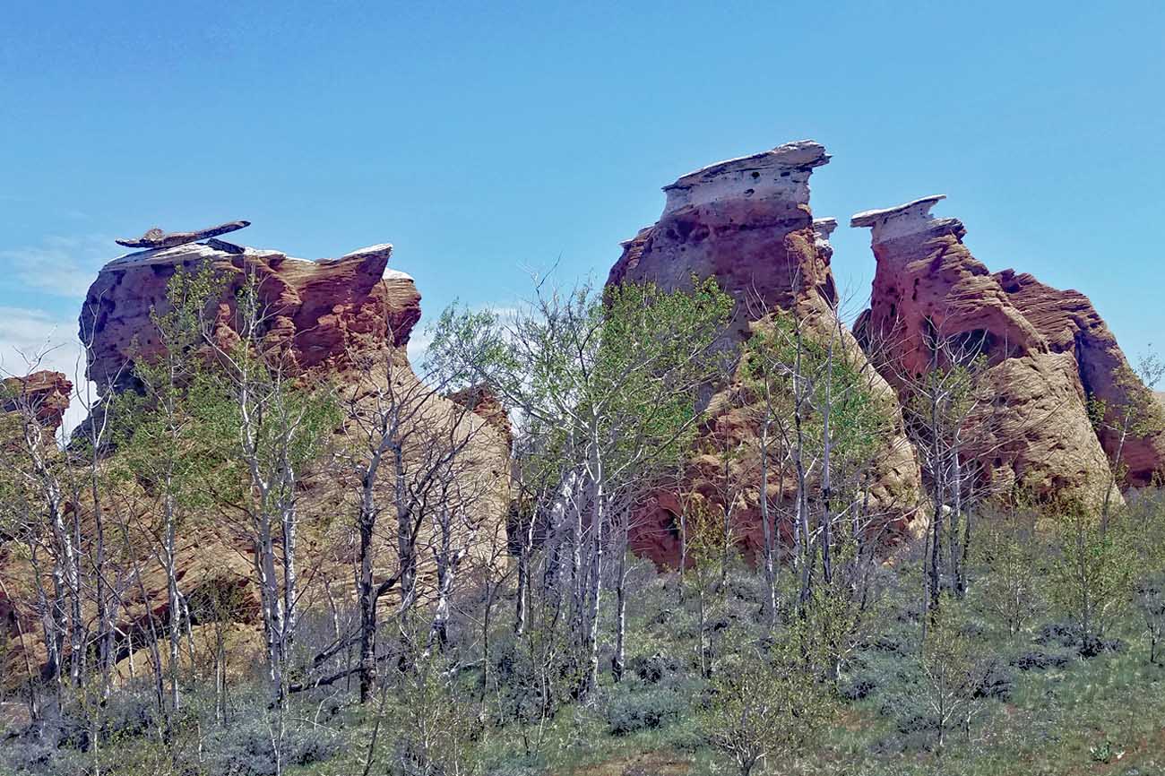 Land in Sand Creek