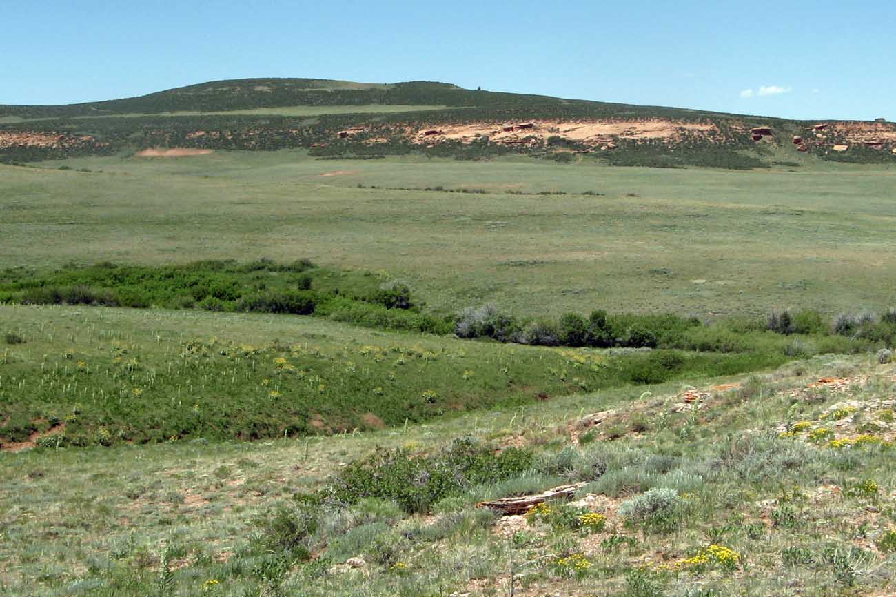 Land in Sand Creek